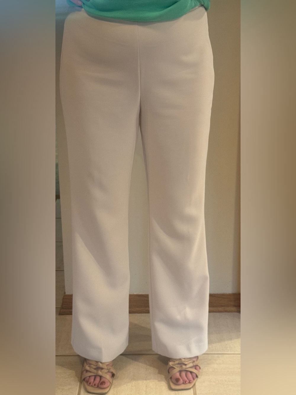 Ann Taylor Women's Light Tan Wide-Leg Suit Pants